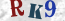 Güvenlik Resmi