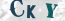 Güvenlik Resmi
