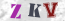 Güvenlik Resmi