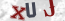 Güvenlik Resmi