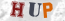 Güvenlik Resmi